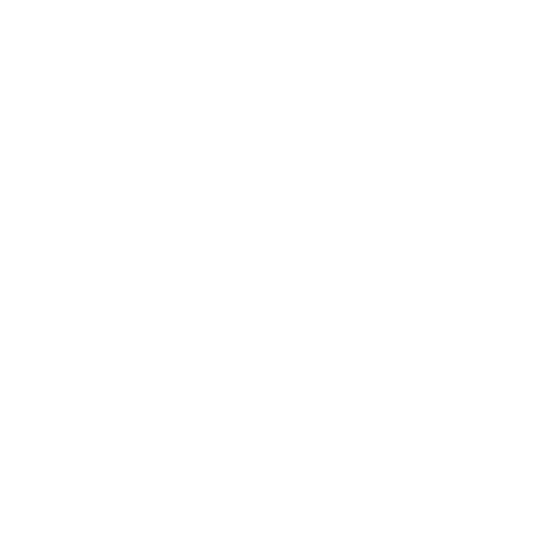 Expertise Icon